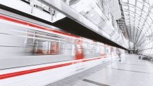 Спряха метрото в Ню Йорк заради две дървеници