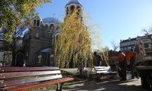 Подмениха и втората върба пред църквата „Св. Седмочисленици”