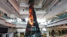 Протестиращи в Хонконг подпалиха коледната елха в мол в града. Протестите продължават шести месец.
