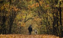 Сутринта мъгли, през деня ще е топло