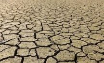 Вода за политическо миене