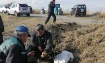 "Новата гора на София" е пораснала с още 25 декара за двата уикенда от залесителната кампания