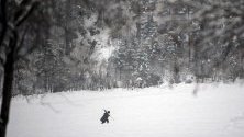 Човек си проправя път през снежните преспи в тиролското село Моос, Австрия. Множество пътища в региона са затворени заради снеговалежи и опасност от лавини.
