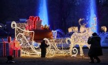 Снимки на деня 22 ноември 2019