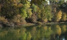 Човешка намеса е причина за обезводняването на река Въча