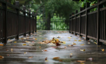 Седмицата започва без валежи 