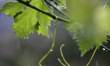 Значителни количества валежи се очакват и днес