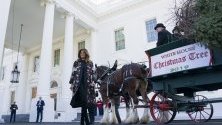 Първата дама на САЩ Мелания Тръмп посреща коледното дърво в Белия дом. Елхата ще бъде издигната в Синята стая.