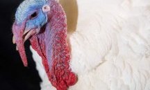 Топ 5 новини от седмицата