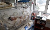 Чудо: В Майчин дом спасиха 590-грамово бебе