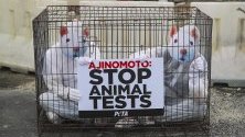 Активисти за правата на животните са облечени като лабораторни мишки и са се затворили в клетка пред завод в Куала Лумпур, Малайзия. Членовете на РЕТА призовават компанията &quot;Аджиномото&quot; да спре с експериментите с животни.