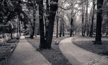 Трудно правите избор? Вероятно имате FOBO