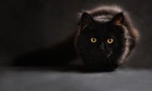 По-черно от най-черното черно