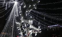 Елхата на София ще грейне тази вечер
