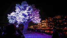 Арт инсталацията &quot;Дървото на Осло&quot; грее за Коледа със 125 000 светлини. 