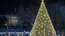 Американският президент Доналд Тръмп и Мелания Тръмп запалиха коледната елха пред Белия дом във Вашингтон.
