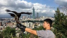 Мъж тренира орела си в Тайпе, Тайван. Според проучването на организацията InterNations, за втори последователен път Тайпе става най-доброто място за живеене и работа в чужбина.