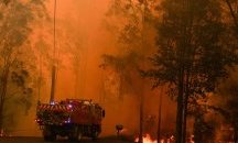 Огнеборците не могат да се справят с огромния пожар край Сидни