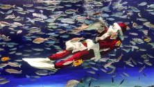 Водолаз в костюм на Дядо Коледа забавлява посетителите на аквариума Sunshine Aquarium в Токио, Япония.