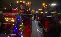 Снимки на деня 13 декември 2019