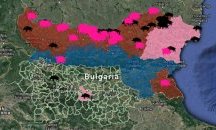 Комарите - причина за африканската чума край Дунав?
