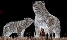 Снимки на деня 18 декември 2019