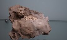 С над 3,5 млн. лв. развиват пещерния туризъм в Родопите