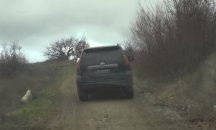 В Сърбия издирват осъден педофил и 12-годишната му жертва