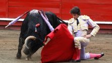 Французинът Себастиан Кастейа се бори с бика Барко по време на панаира в Манисалес, Колумбия.
