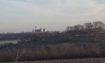 Частично бедствено положение в община Вълчи дол заради африканската чума