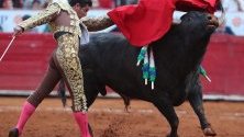 Мексиканският тореадор Херонимо в битка с 533-килограмовия бик Барба Асул по време на корида в Мексико сити.