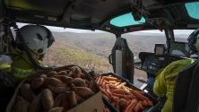 Спасители хвърлят храна на засегнатите от горските пожари диви животни в национален парк в Нов Южен Уелс, Австралия.
