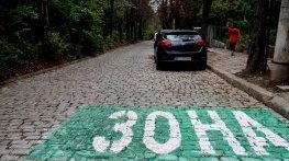 Няма да има синя и зелена зона в София