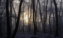 Седмицата започва с облачно време