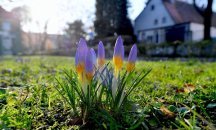 Топло време в началото на седмицата