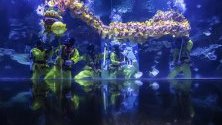Танц с дракон в аквариум в Куала Лумпур, Малайзия, по повод предстоящата Китайска Нова година.