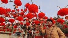 Жена позира за снимка пред дърво, декорирано в червени фенери, в парк в Пекин преди настъпването на Китайската нова година на 25 януари.