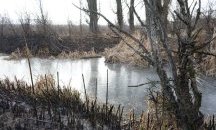 МОСВ сезира прокуратурата за пожара в Драгоманското блато