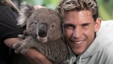 Тенисистът Доминик Тием позира с коала по време на шоу, част от Australian Open в Мелбърн.