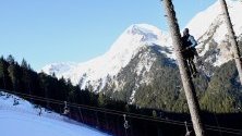 Треньорът на ски-отбора на САЩ Чип Уайт се е покатерил върху дърво за по-добра гледка по време на Световната купа по ски в Банско.
