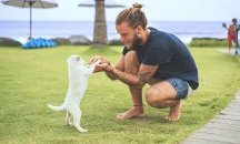Мъжете глезят по-често кучетата, отколкото половинките си
