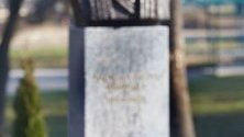 Откриване на паметник на Капитан Петко войвода на „Алеята на бележитите българи“ в Борисовата градина.