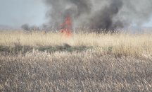 Прокуратурата разследва пожара в защитената местност Калимок