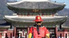 Южнокорейски гард в традиционни дрехи и защитна маска срещу коронавируса на стража пред двореца в Сеул.