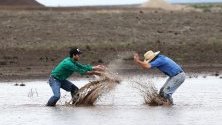 Фермери от Нов Южен Уелс в Австралия се радват на дъжда и водата след продължителната жега и горски пожари.