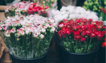 Турция е изнесла 60 млн. рози за Св. Валентин