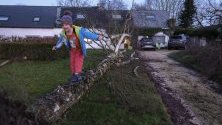Дете се е качило върху паднало дърво след преминаване на бурята Киара в Намур, Белгия.