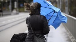 Жълт код за силен вятър за цяла България