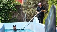 Конят Алигейтър Блъд си взима разхладителна баня по време на конната надпревара в Мелбърн, Австралия.