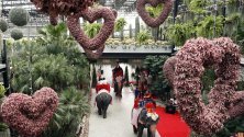 40 новобрачни двойки яздят слонове по време на регистрация на брака им на церемония за Свети Валентин в градината Нонгнуч в град Патая, Тайланд.